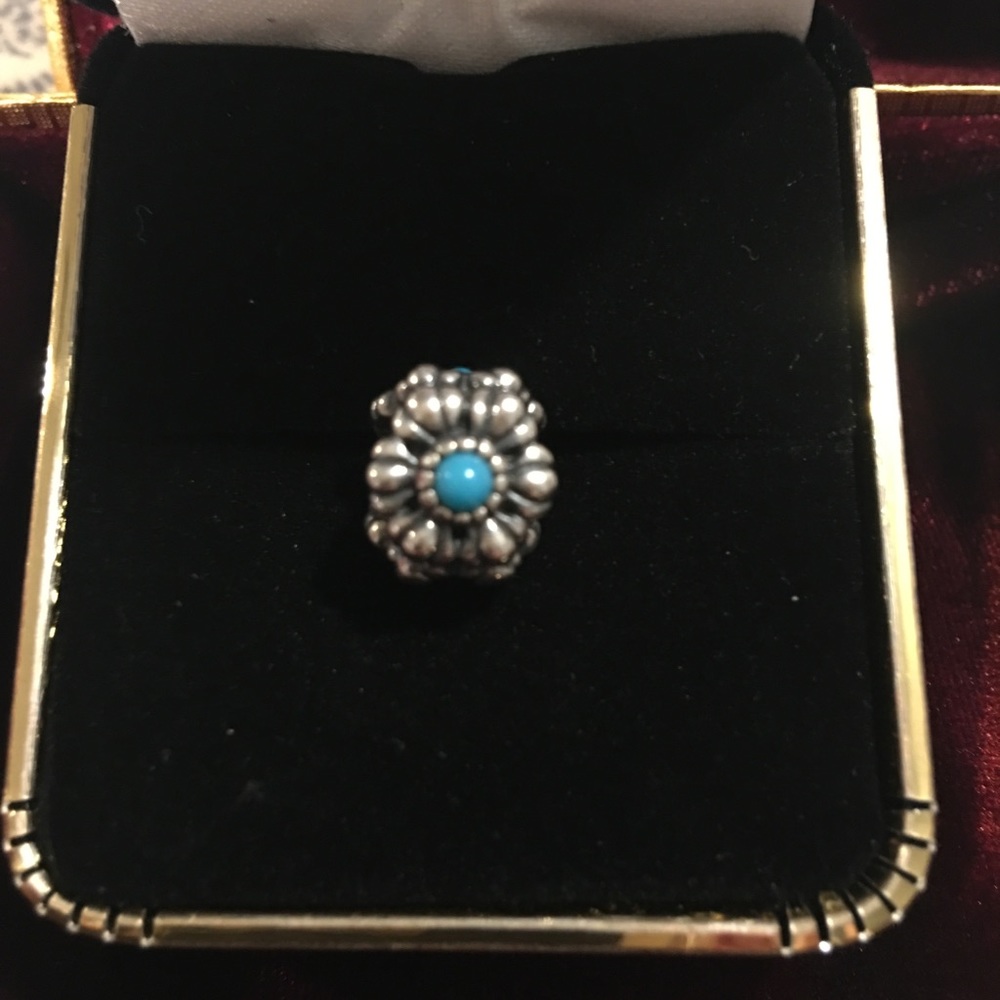 Pandora charm